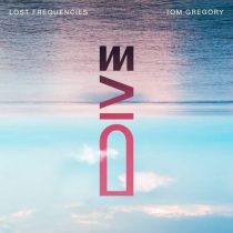 Lost Frequencies & Tom Gregory – Dive (Extended Mix)