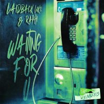 Laidback Luke & Raphi – Waiting For U (The Remixes)