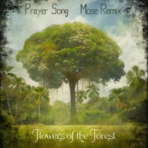 Mose, Flowers of the Forest – Prayer Song (Mose Remix)