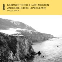 Chris Luno & Murmur Tooth, Lars Moston & Murmur Tooth, Lars Moston – Antidote (Chris Luno Remix)