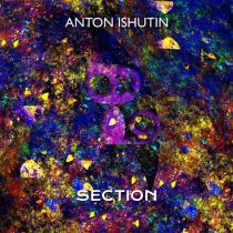 Anton Ishutin – Section