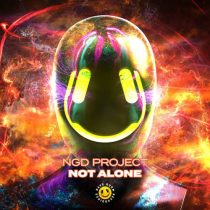 NGD Project – Not Alone
