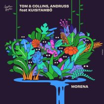 Andruss, Tom & Collins & Kuisitambo – Morena