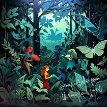 VA – Serafin Tales From the Magical Forest