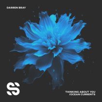 Darren Bray – Thinking About You