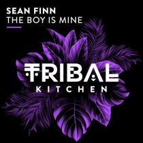 Sean Finn – The Boy Is Mine