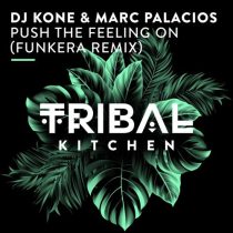 DJ Kone & Marc Palacios – Push the Feeling On (Funkera Remix)