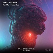 David Moleon – Summer Feelings