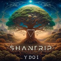 Y do I – Shantrip