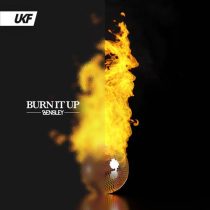 Bensley – Burn It Up