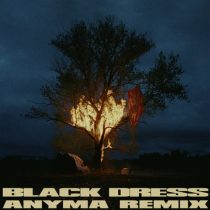 Anyma & 070 Shake – Black Dress (Anyma Extended Remix)