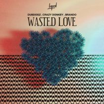 Dubdogz & Crazy Donkey, Brando – Wasted Love (The Remixes)