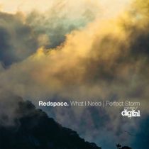 Redspace – What I Need | Perfect Storm