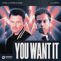 Fedde Le Grand & NOME. – You Want It (Extended Mix)