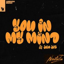 Ninetails & Jen Jis – You In My Mind