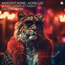 Indecent Noise & Noire Lee – Sunglasses at Night – DISCO19 Remix