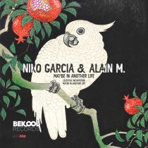 Niko Garcia & Alain M. – Maybe in Another Life