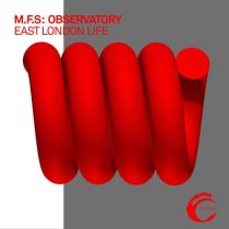 M.F.S: Observatory – East London Life