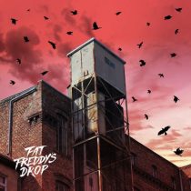 Marcus Worgull & Fat Freddy’s Drop – Blackbird – Marcus Worgull Remix