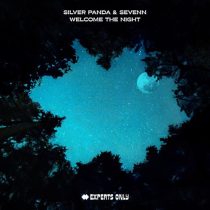 Sevenn & Silver Panda – Welcome The Night – Extended Mix