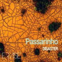 Disaster (BR) – Passarihno