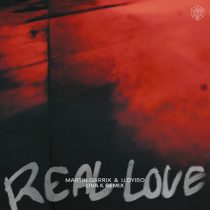 Martin Garrix & Lloyiso – Real Love (Liva K Extended Remix)