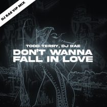 Todd Terry & DJ Rae – Don’t Wanna Fall In Love (DJ Rae VIP Mix)