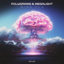 Megalight & Polygrams – Mind Fly