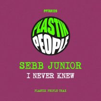 Sebb Junior – I Never Knew