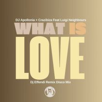 Crazibiza, Luigi Neighbours & Dj Apollonia – What is Love  (Dj Effendi Remix)