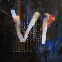 VA – Siamese Anthology VI