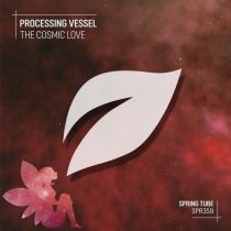 Processing Vessel – The Cosmic Love