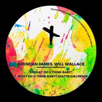 Will Wallace & Brendan James – What Do U Think Baby?