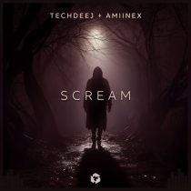 TechDeeJ & Amiinex – Scream