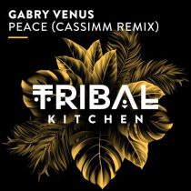 Gabry Venus – Peace (CASSIMM Remix)