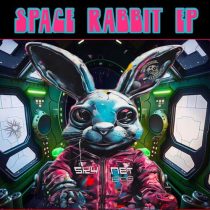 SKYNET the 808 disciple – Space Rabbit