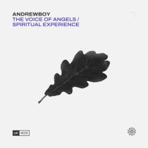 Andrewboy – The Voice of Angels / Spiritual Experience