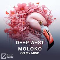 Moloko & Deep West – On My Mind (Extended Mix)