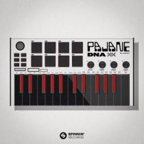 PAJANE – DNA (Extended Mix)