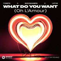 Lotus, Bodybangers & 71 Digits – What Do You Want (Oh L’Amour)
