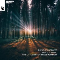 The Lost Brothers & G Tom Mac – Cry Little Sister (I Need You Now)