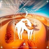 Cafe De Anatolia & Keith Rose – Divine Forests
