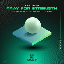 Amir Telem – Pray for Strength