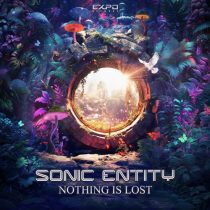 Sonic Entity – Nothing Is Lost