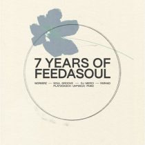 VA – 7 Years of Feedasoul