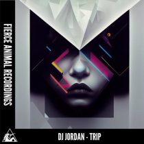 DJ Jordan – TRIP