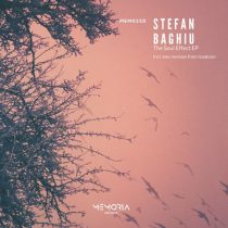 Stefan Baghiu – The Soul Effect EP