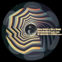 Nima Gorji & Up & Down – Resonance Eighty-Eight