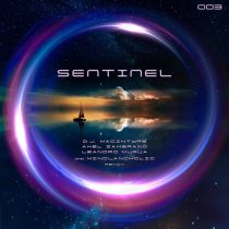 Axel Zambrano & Leandro Murua, D.J. MacIntyre – Sentinel