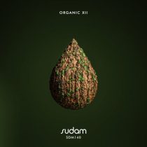 VA – Organic XII